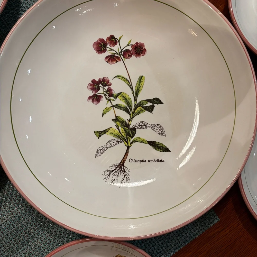 Williams Sonoma Botanical Dinnerware Set with Red Trim